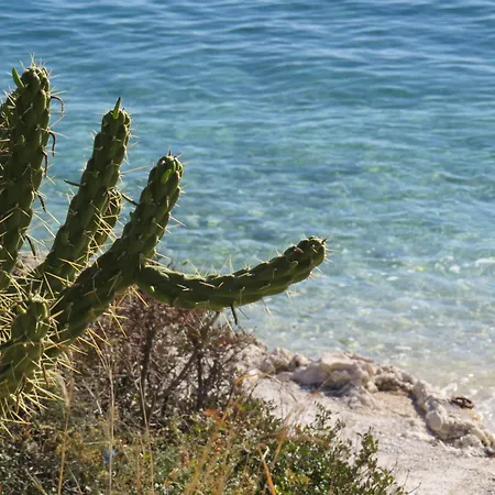 Apartman Panorama Updated With Infinity Pool