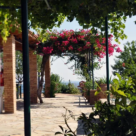 Panorama Updated With Infinity Pool