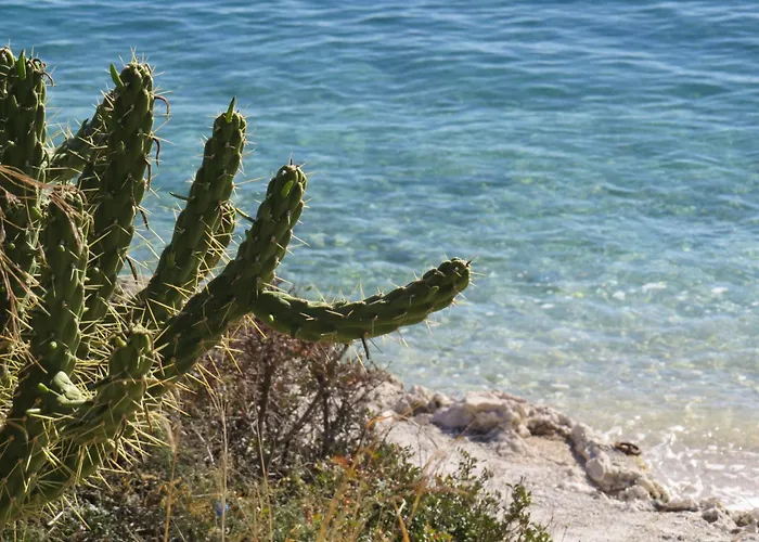 Διαμέρισμα Panorama Updated With Infinity Pool