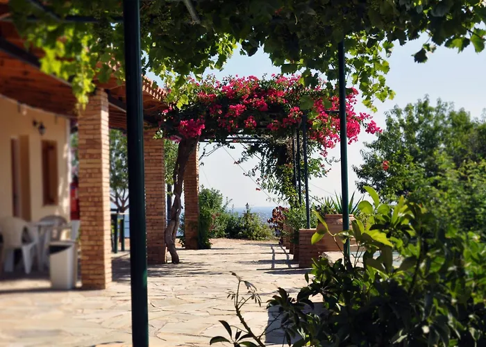 Panorama Updated With Infinity Pool